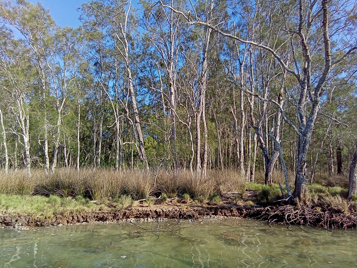 flood impact assessment